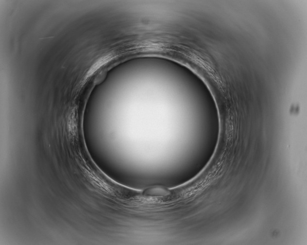 X0000100981450200806241531