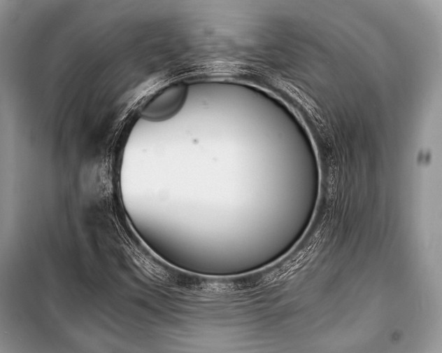 X0000100981451200806241531