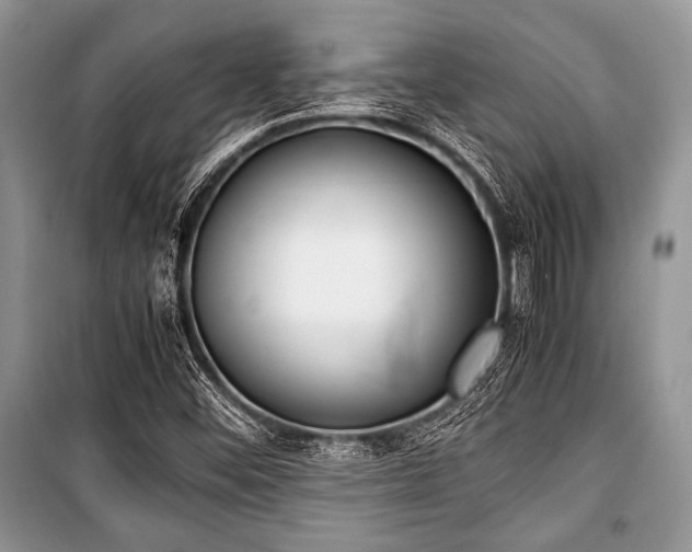 X0000100981452200806241531