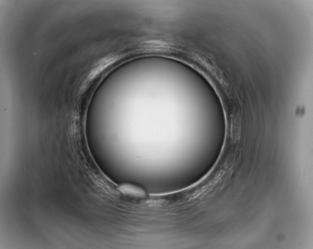 X0000100981453200806241531