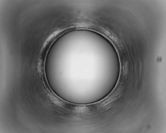 X0000100981454200806241531