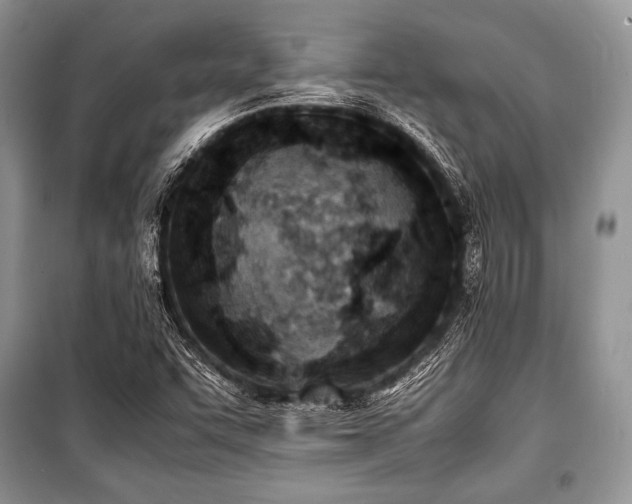 X0000100981455200806241531