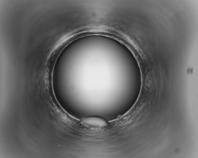 X0000100981456200806241531