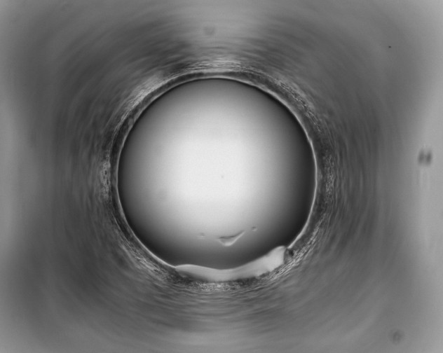 X0000100981457200806241531