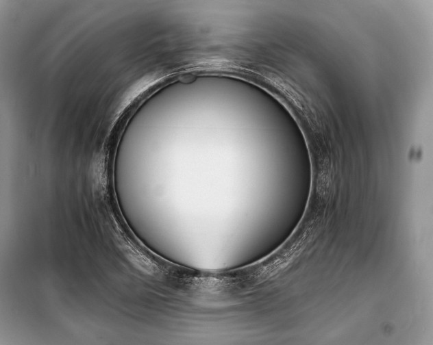 X0000100981458200806241531