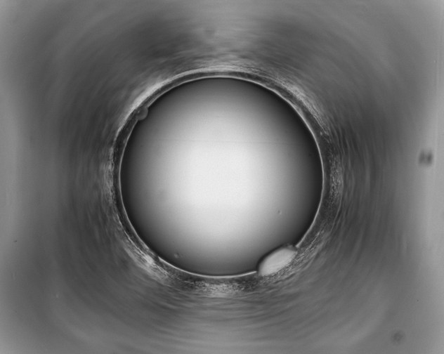X0000100981460200806241531