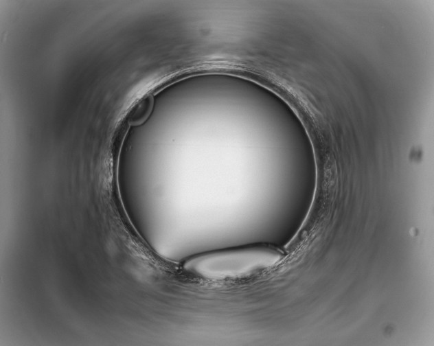 X0000100981461200806241531