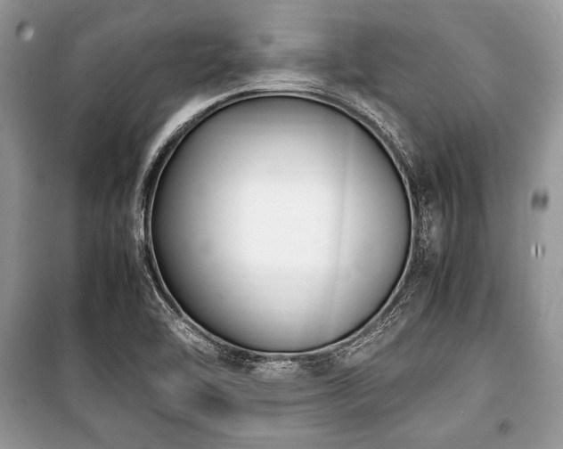 X0000100981462200806241531