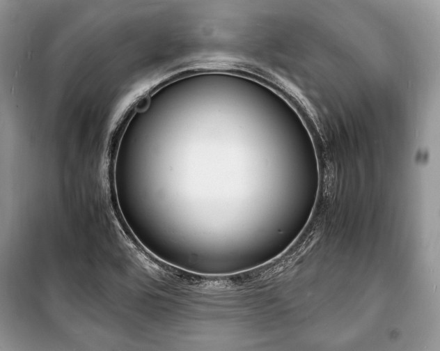X0000100981464200806241531