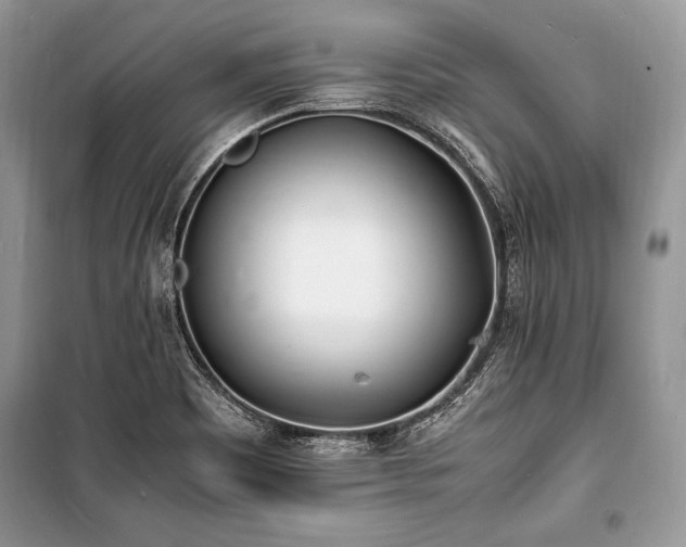 X0000100981465200806241531