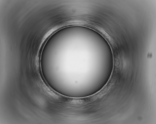 X0000100981466200806241531