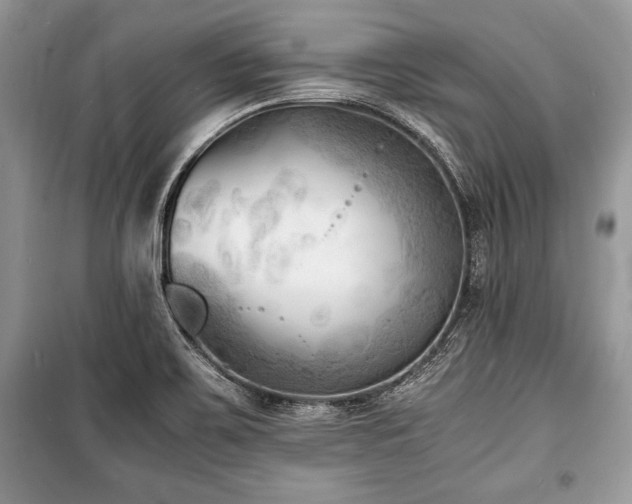 X0000100981467200806241531