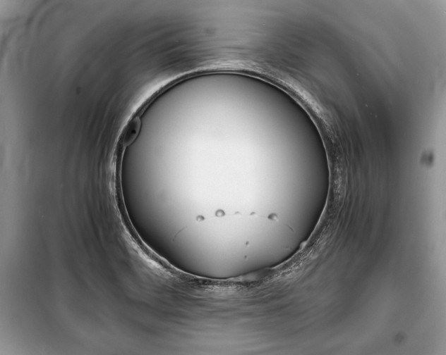 X0000100981468200806241531