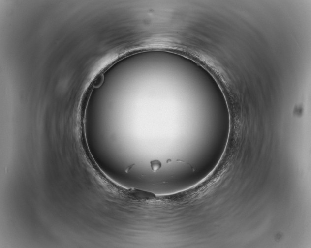 X0000100981469200806241531