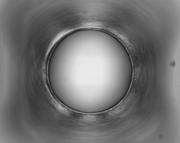 X0000100981470200806241531