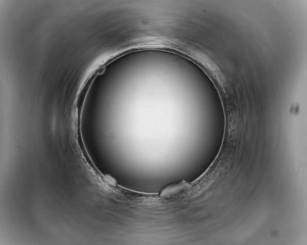 X0000100981472200806241530