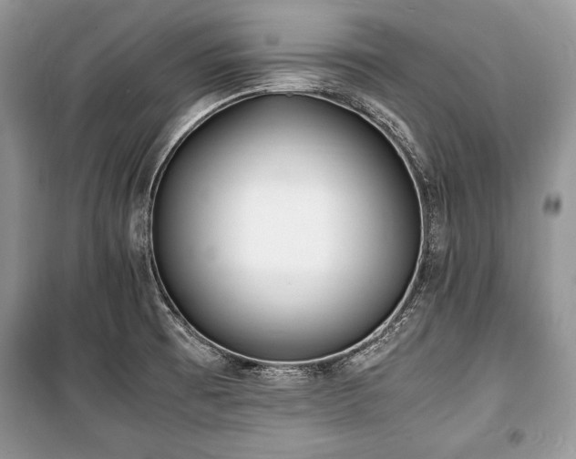 X0000100981473200806241530