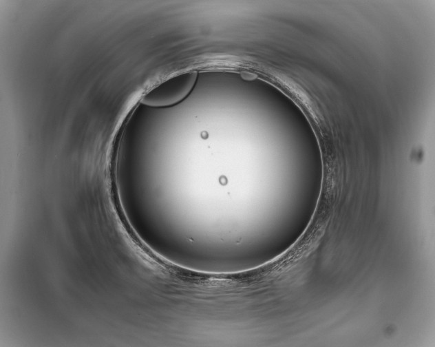 X0000100981475200806241530