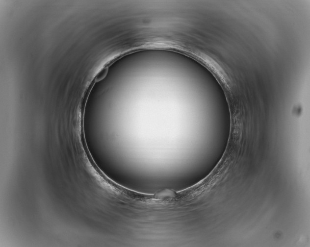 X0000100981476200806241530