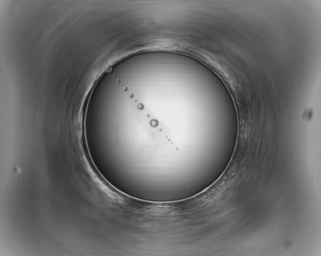 X0000100981479200806241530