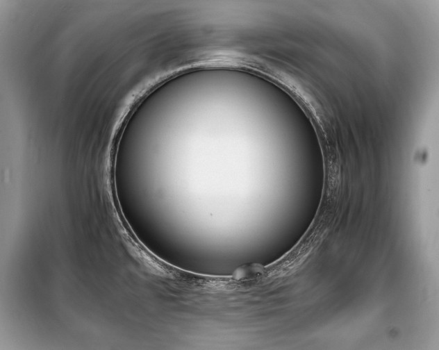 X0000100981480200806241530
