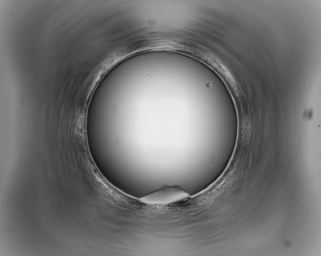 X0000100981481200806241530