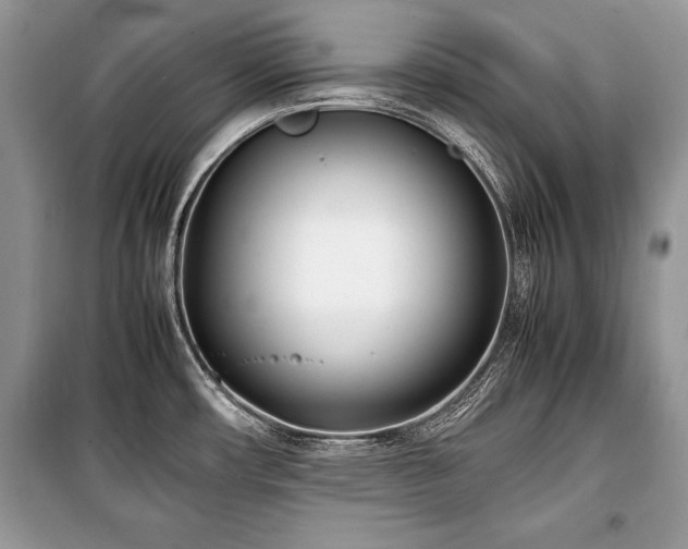 X0000100981482200806241530