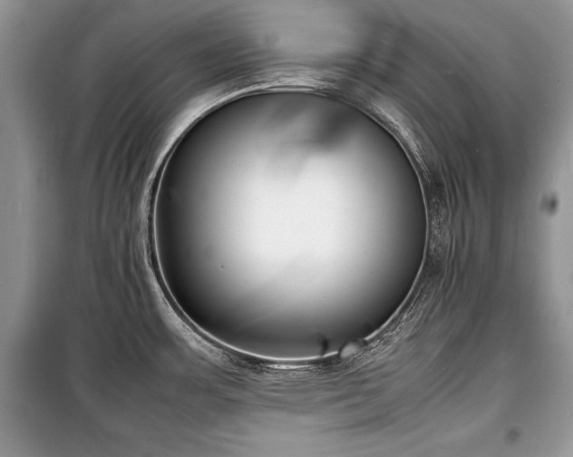 X0000100981483200806241530