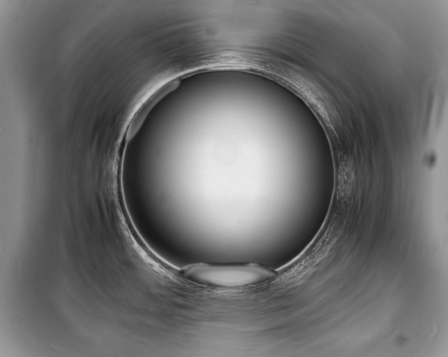 X0000100981484200806241530