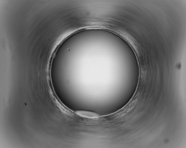 X0000100981485200806241530