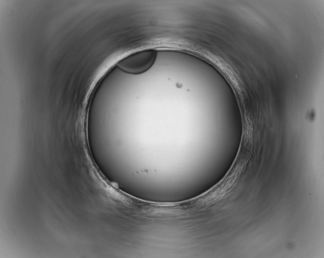 X0000100981486200806241530