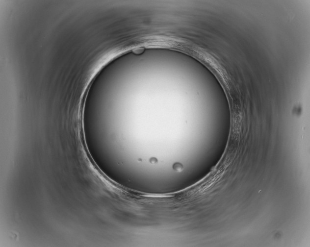 X0000100981487200806241530