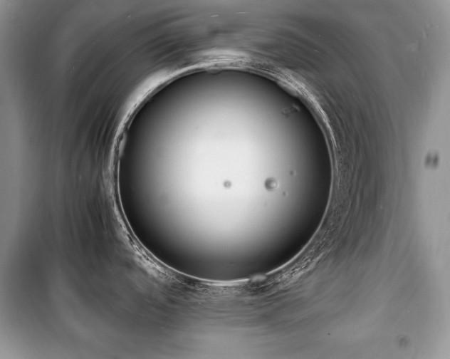 X0000100981488200806241530
