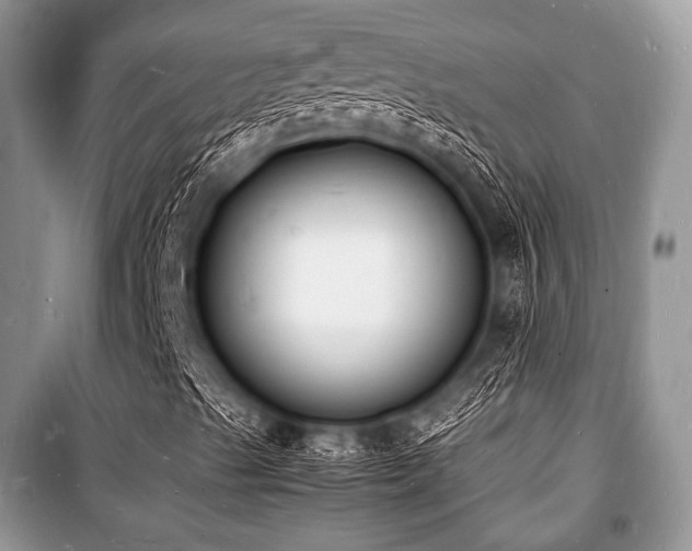 X0000100981489200806241529