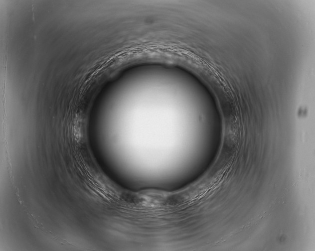 X0000100981490200806241529