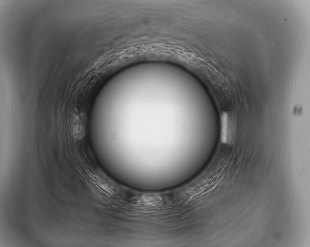 X0000100981491200806241529