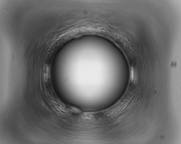 X0000100981492200806241529