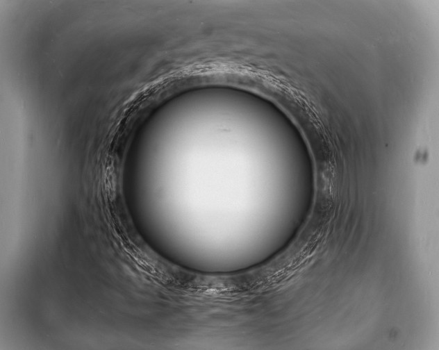 X0000100981493200806241530
