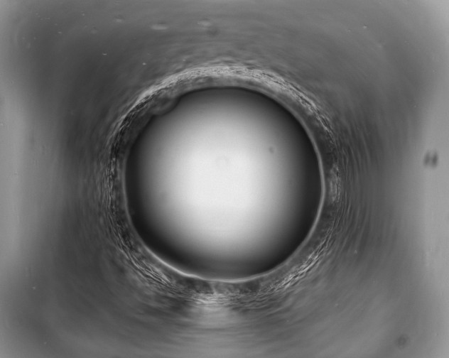 X0000100981494200806241530