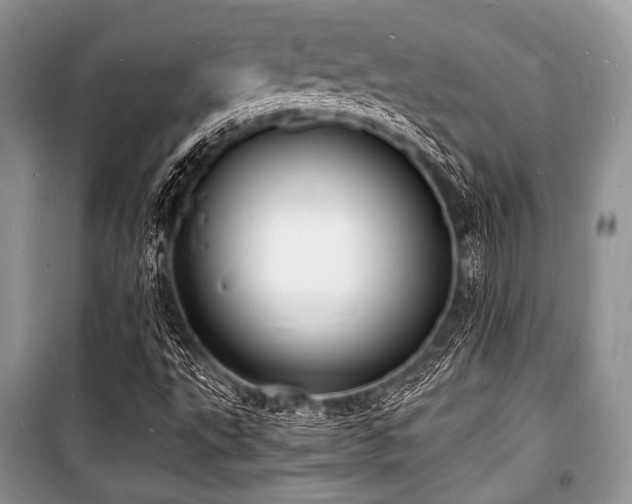 X0000100981495200806241530