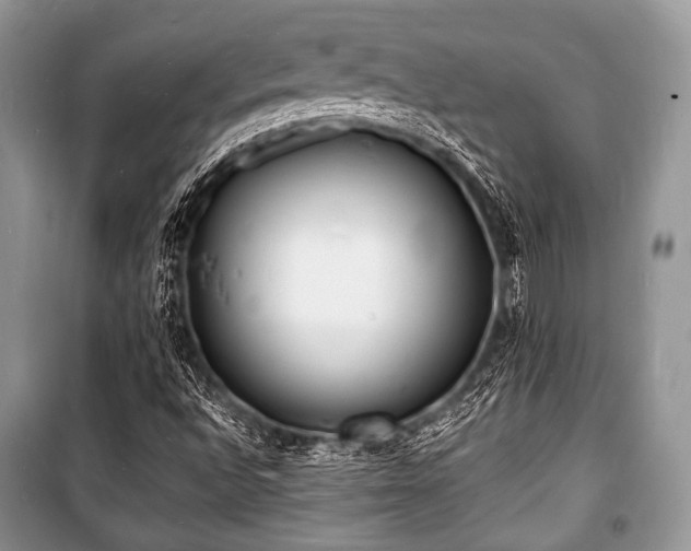 X0000100981496200806241530