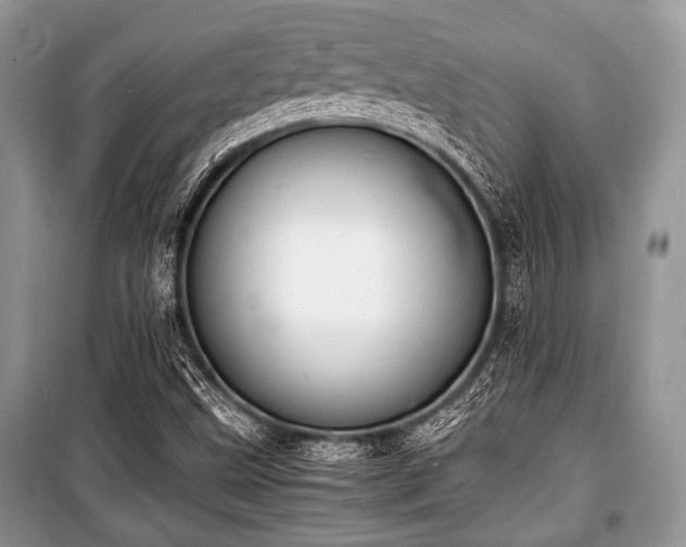 X0000100981499200806241530