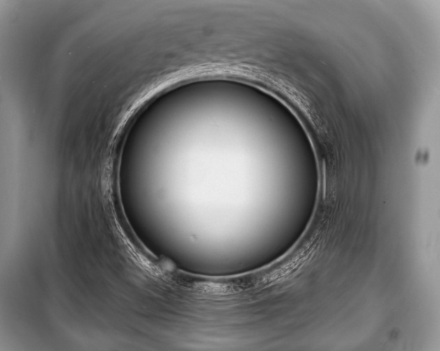 X0000100981500200806241530