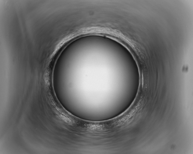 X0000100981501200806241530