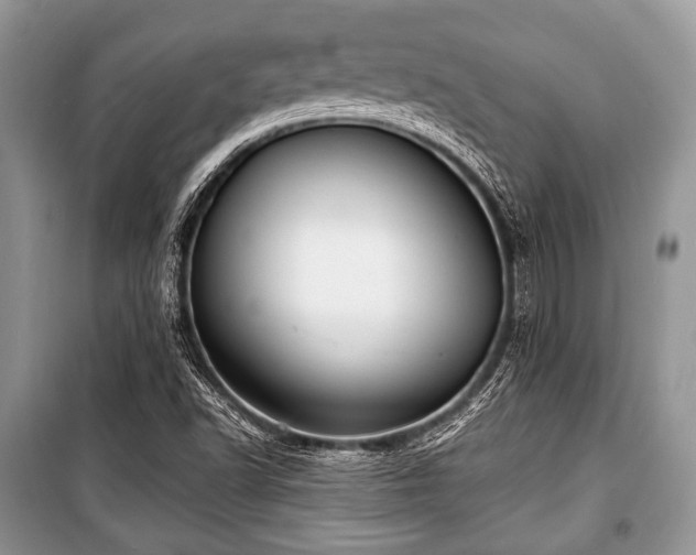 X0000100981502200806241530