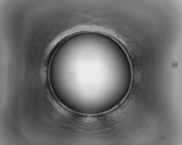 X0000100981503200806241530