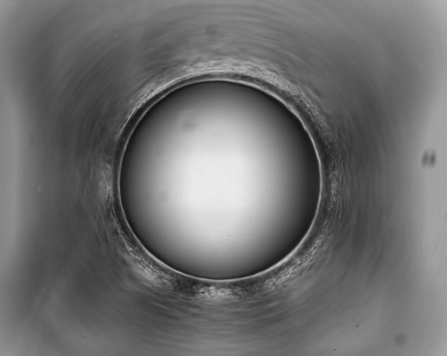 X0000100981505200806241530