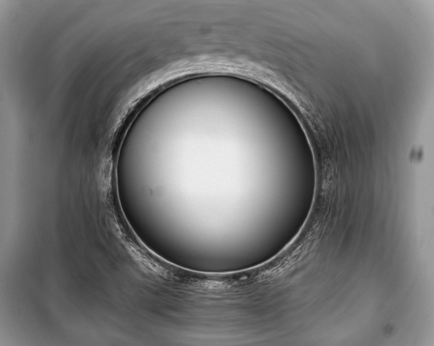 X0000100981507200806241530