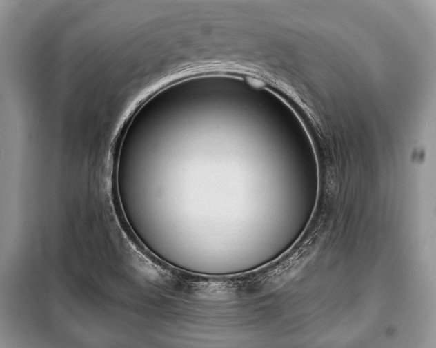 X0000100981508200806241530