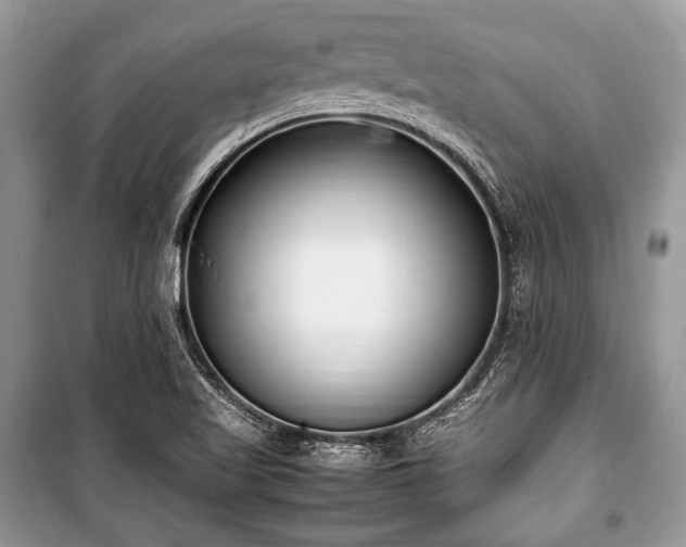 X0000100981509200806241530